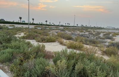 Freehold Plot | Build Your Dream Villa | Jebel Ali Hills